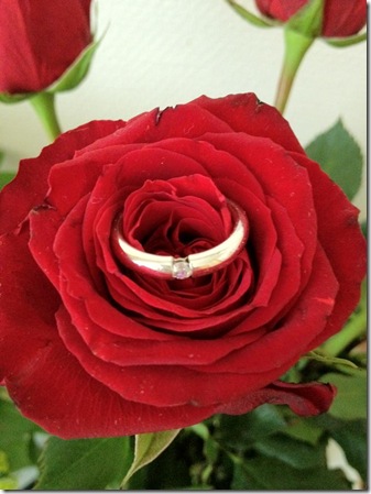 Ring Rose