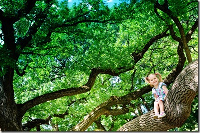 Happy cute girl sitting on branch huge tree