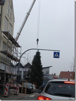 Transport_Weihnachtsbaum