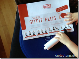 Sissel Sitfit